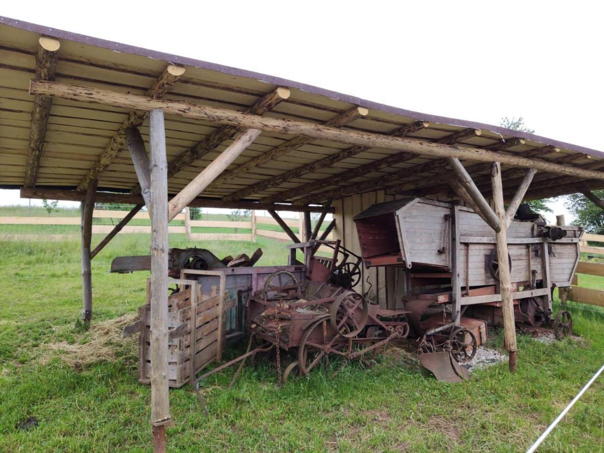 Apartman Na Statku Červený Kostelec Exteriör bild
