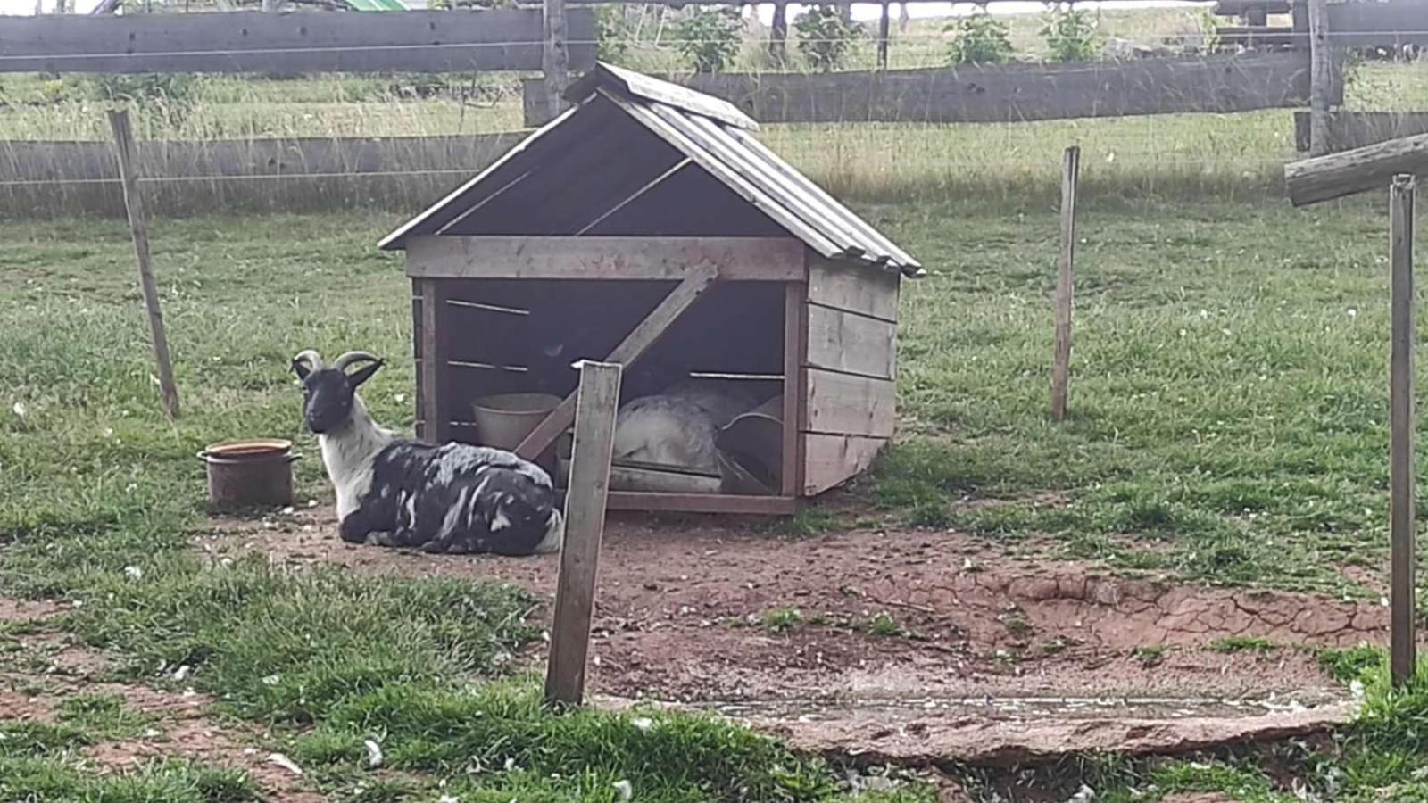 Apartman Na Statku Červený Kostelec Exteriör bild