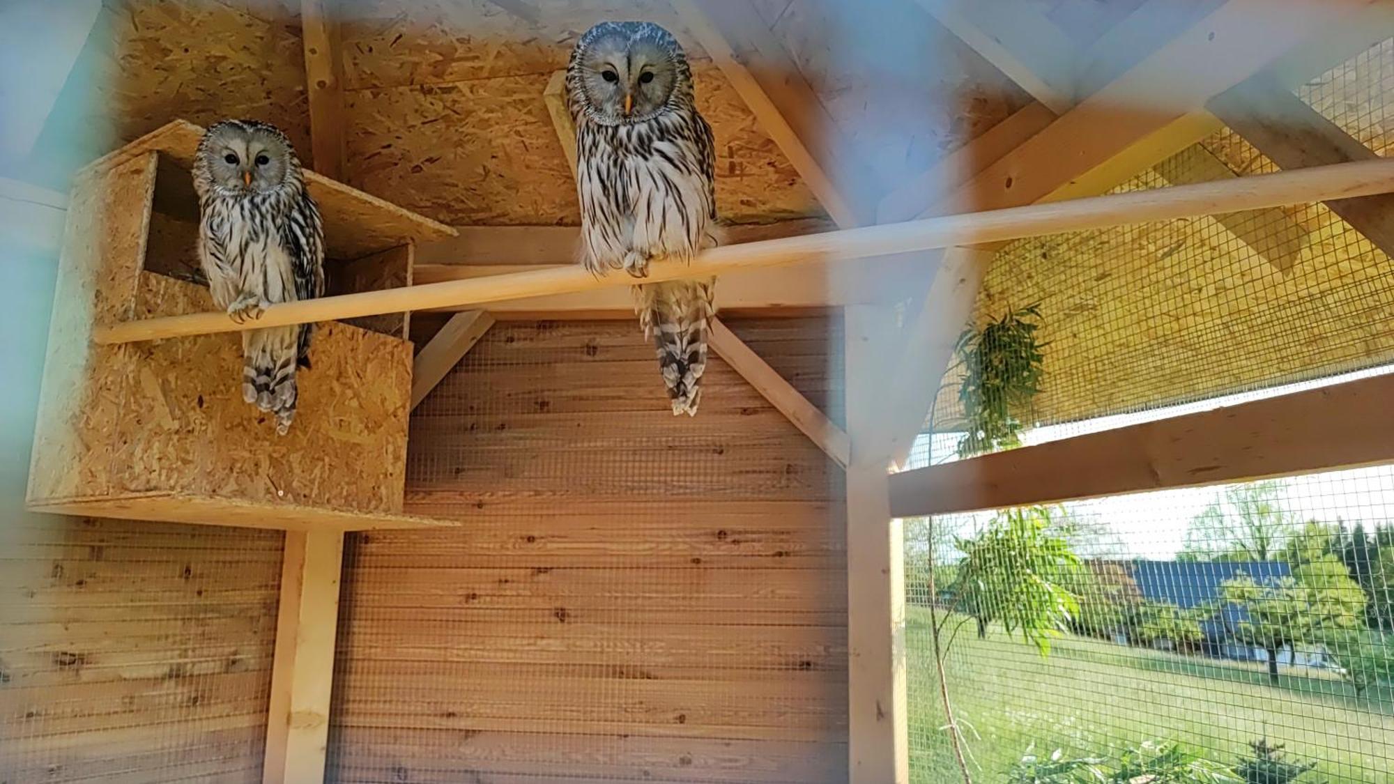 Apartman Na Statku Červený Kostelec Exteriör bild