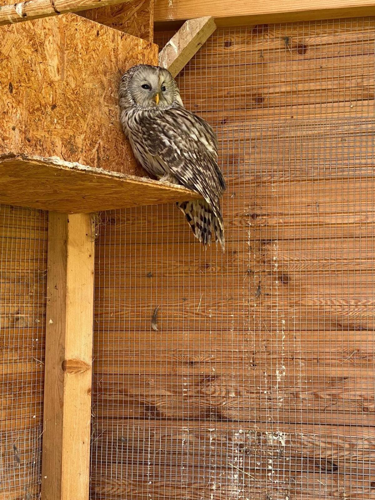 Apartman Na Statku Červený Kostelec Exteriör bild