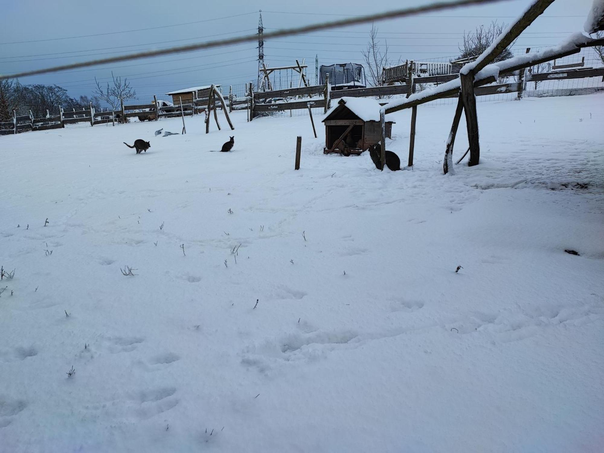 Apartman Na Statku Červený Kostelec Exteriör bild